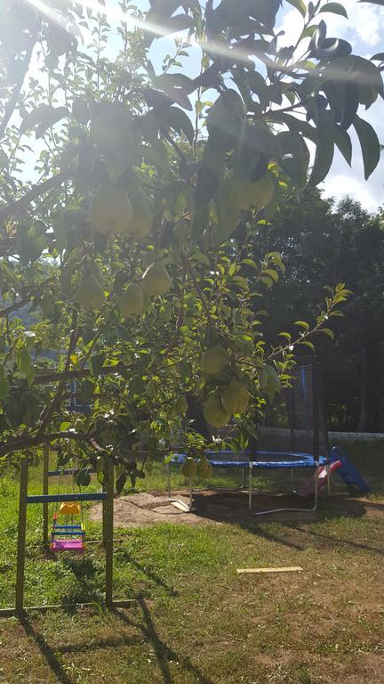 Holiday Home Adna Bihac Ngoại thất bức ảnh